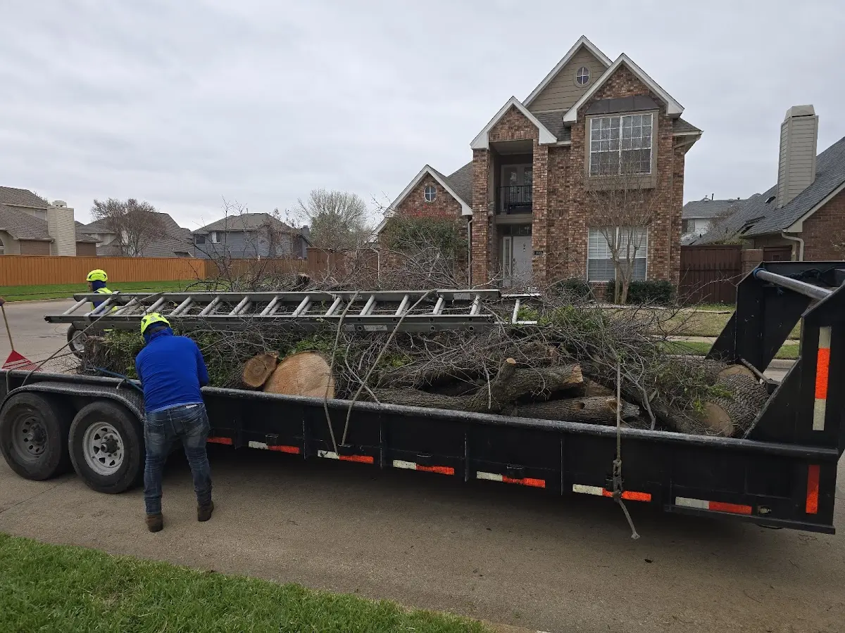 Expert Tree Pest Control with proper safety equipment in Geuda Springs